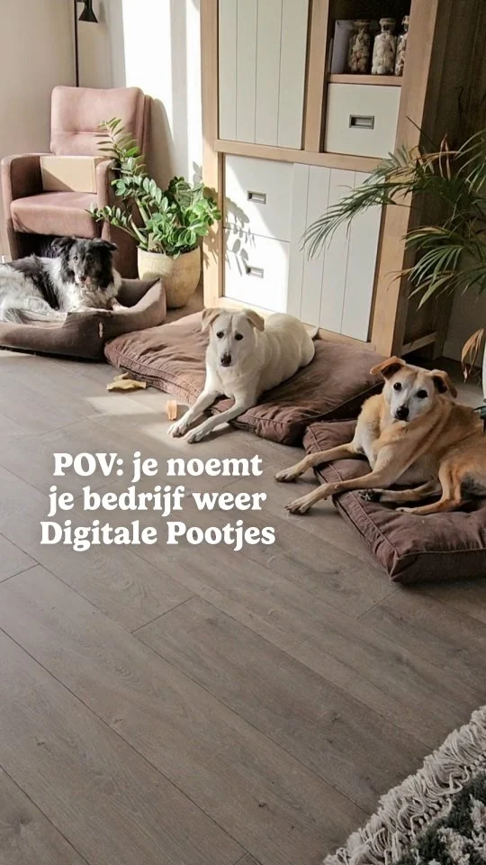 Ik ben er weer! 😂

Toen ik in het afgelopen jaar was geswitcht naar mijn eigen naam als bedrijfsnaam, was ik ironisch genoeg juist mezelf een beetje kwijtgeraakt. En de connectie met jullie, mijn volgers ook (en andersom, zoals meerderen hebben gedeeld).

Want ineens ‘moest’ ik een andere, bredere doelgroep aanspreken en eigenlijk wilde ik dat helemaal niet.

En dat merkte je in mijn content en stories: mijn humor en enthousiasme verdween en ik liet steeds minder vaak mijn gezicht zien.

Fast forward naar nu heb ik alles weer teruggedraaid: alleen welzijnsgerichte dierenprofs helpen en weer terug naar Digitale Pootjes (mijn IG is nu ook weer @digitalepootjes.nl) 🥰 En oh wat voelt dat als thuis komen!

Ik merk wel dat ik nog steeds wat moeite heb met content maken en er echt weer even in moet komen. Dat het weer mag met mijn humor erin en dat ik weer tegen “mijn mensen” mag praten. Dat heb ik zo gemist, en de connectie met jullie ook!

Dus als je mij nog ziet in je algoritme, zeg even hoi in de comments 👋🏻😁 Hoeft niet zo enthousiast als Ted dat doet hoor 😂

#businessbabesnl #ambitieuzevrouwen #hondengedragstherapeut #hondengedragsdeskundige #positieftrainen #hondenwelzijnvoorop #paardenondernemer #kattengedragstherapeut