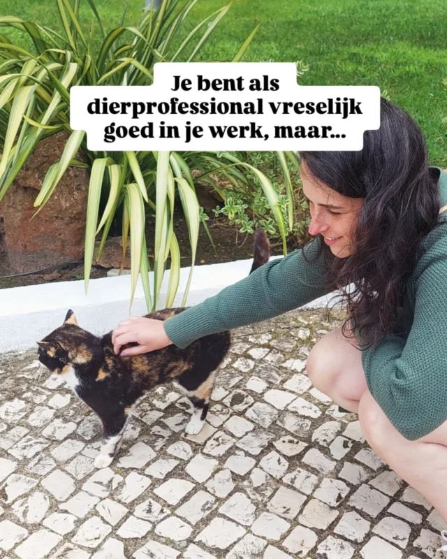Je hoeft niet "verkoperig" te zijn op je site.

Maar met bescheiden blijven help je baasjes ook niet. 

Sterker nog, je helpt er minder baasjes door 🚨 

Want door bescheiden te blijven en dus niet helder en krachtig te laten zien hoe je baasjes kan helpen...

Klikken ze weg. 

Gaan ze misschien wel naar de concurrent die niet diervriendelijk te werk gaat. 

Swipe om te zien hoe je dit makkelijk kan oplossen 👈🏻

Help baasjes inzien hoe goed jij ze kan helpen, door een onvergetelijke eerste indruk via je homepagina (= vaak hetv eerste dat ze van je zien).

Comment 'indeling' om de gratis Strategische Homepagina Blueprint direct in je inbox te krijgen 🔥

Zodat je gaat zorgen dat baasjes sneller klant bij willen worden. 

Zonder pushen of salesy zijn, maar ook kappen met dat bescheiden gedoe 💪🏻 Oke?! 😁